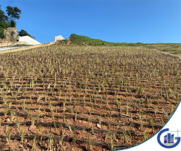 @gia.construccionies